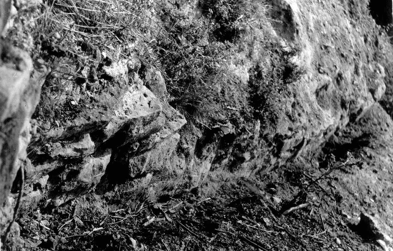 Замкова гора. Фрагмент південного оборонного муру, виявлений у 1967 р. О. М. Годованюк